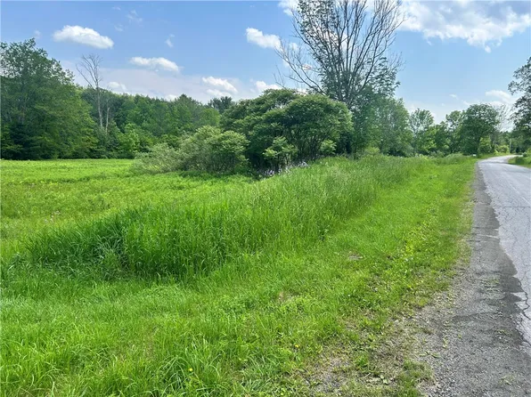0 Oregon Rd Lot 4, Gilbertsville, NY 13776