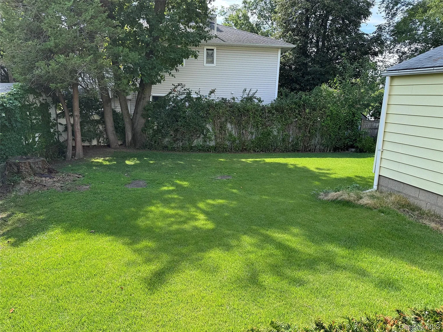 3 bed, 1.0 bath, 1080 sqft, $4,500 — Photo 4