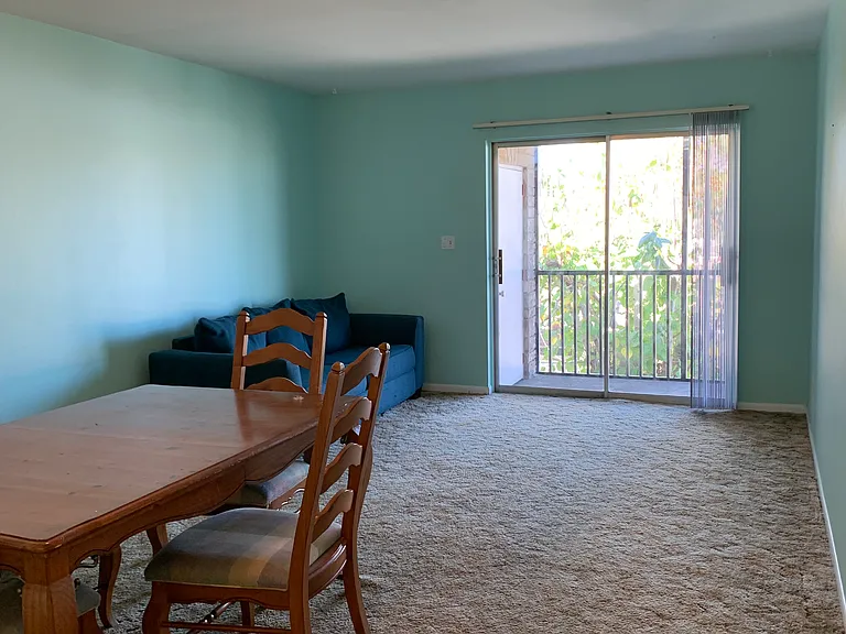Living and Dining Room