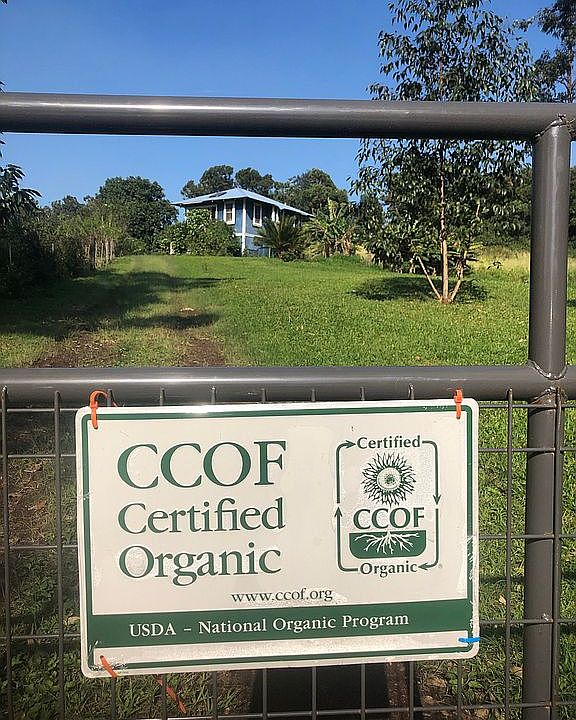 USDA/CCCOF Organic Certifed 