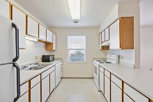 Songbird Apartments Photo 1