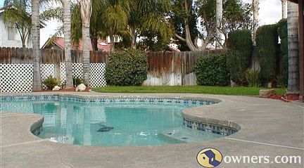 Back Yard Pool