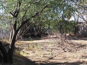 5th image of 2833 N Palo Verde Blvd