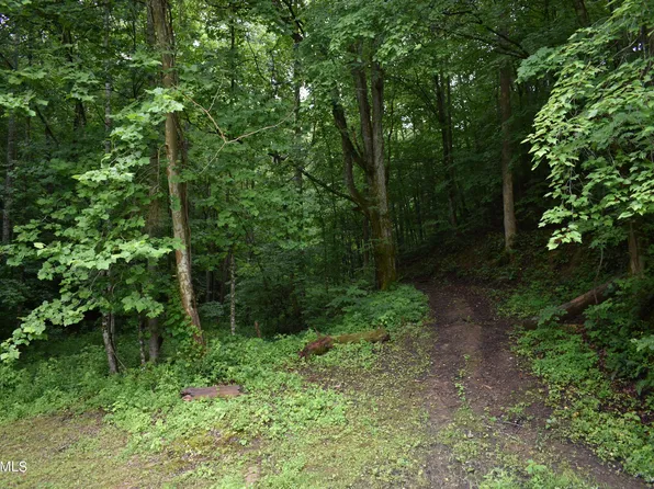 348 Y Rd, Middlesboro, KY 40965