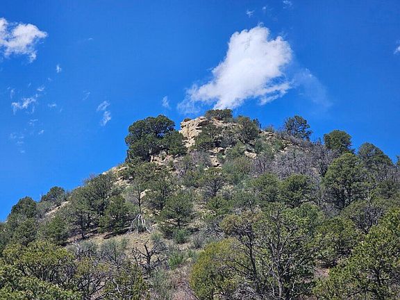 2nd image of Cedar Dr #4