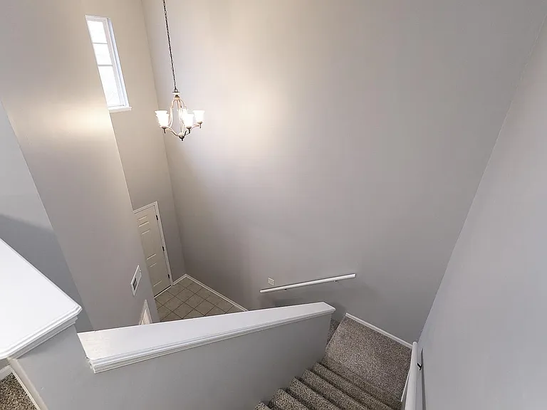 8805 Venice Ln — Photo 16