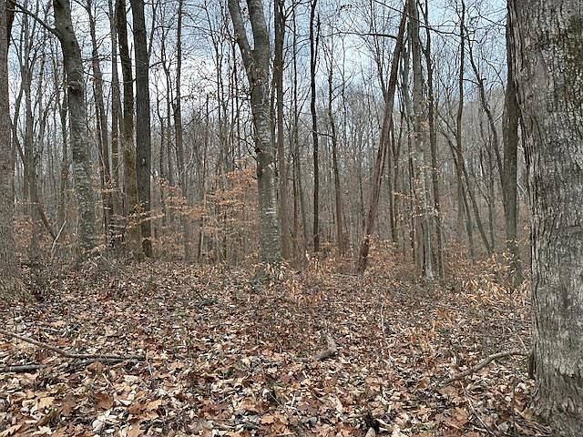 1st image of Lots 308 325 Hellbender Ln