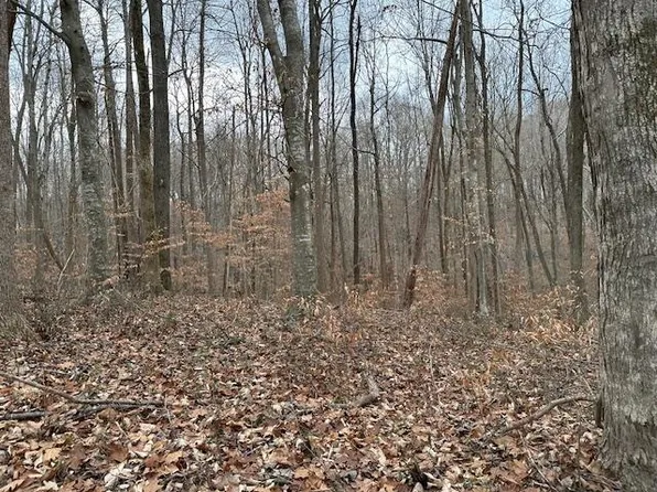 Lots 308 325 Hellbender Ln, Scottsville, KY 42164