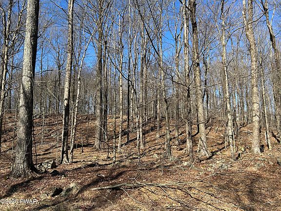 2nd image of LOT-2230R Saw Mill Rd