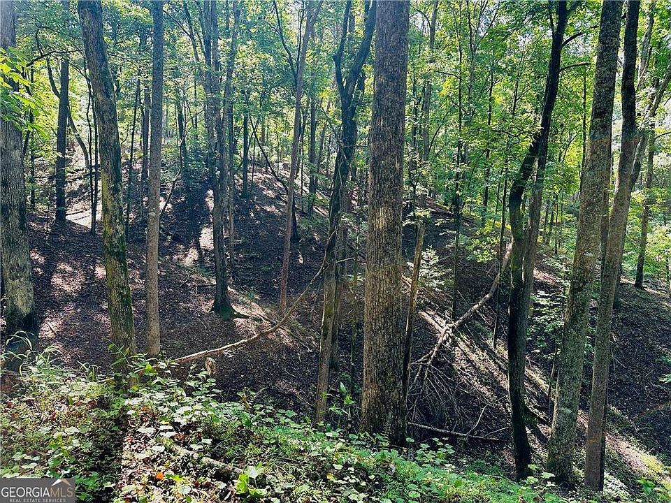 1st image of Halls Mill Rd