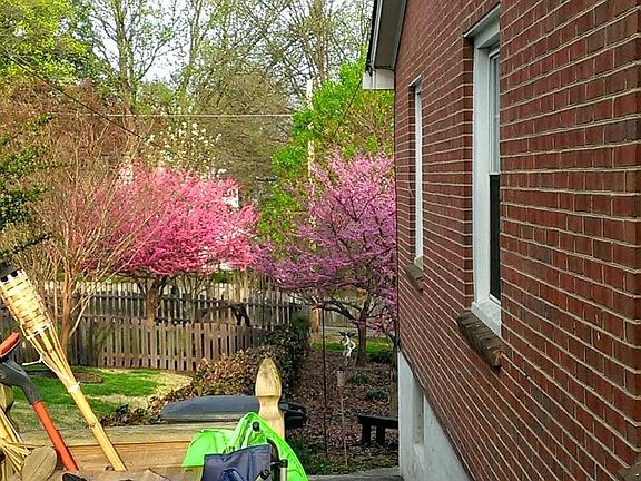 Side walk, fenced in from front door