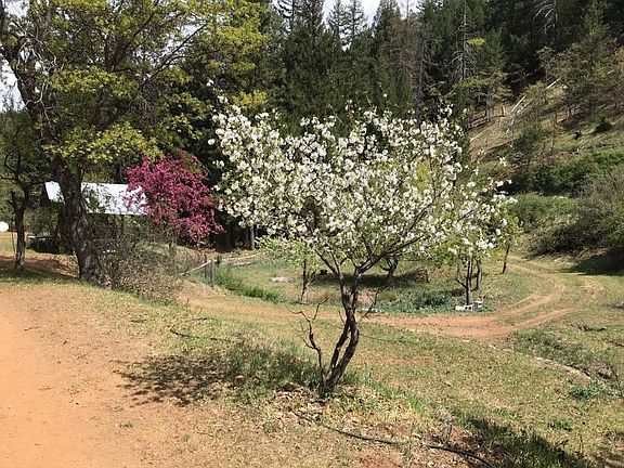 5th image of 19417 Indian Creek Rd
