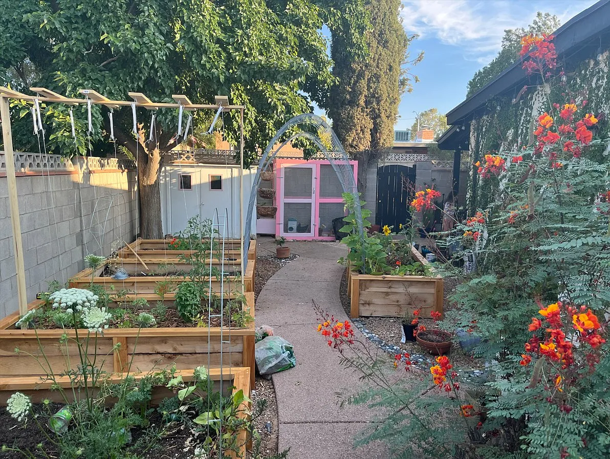 3 bed, 1594 sqft, $800 — Photo 2