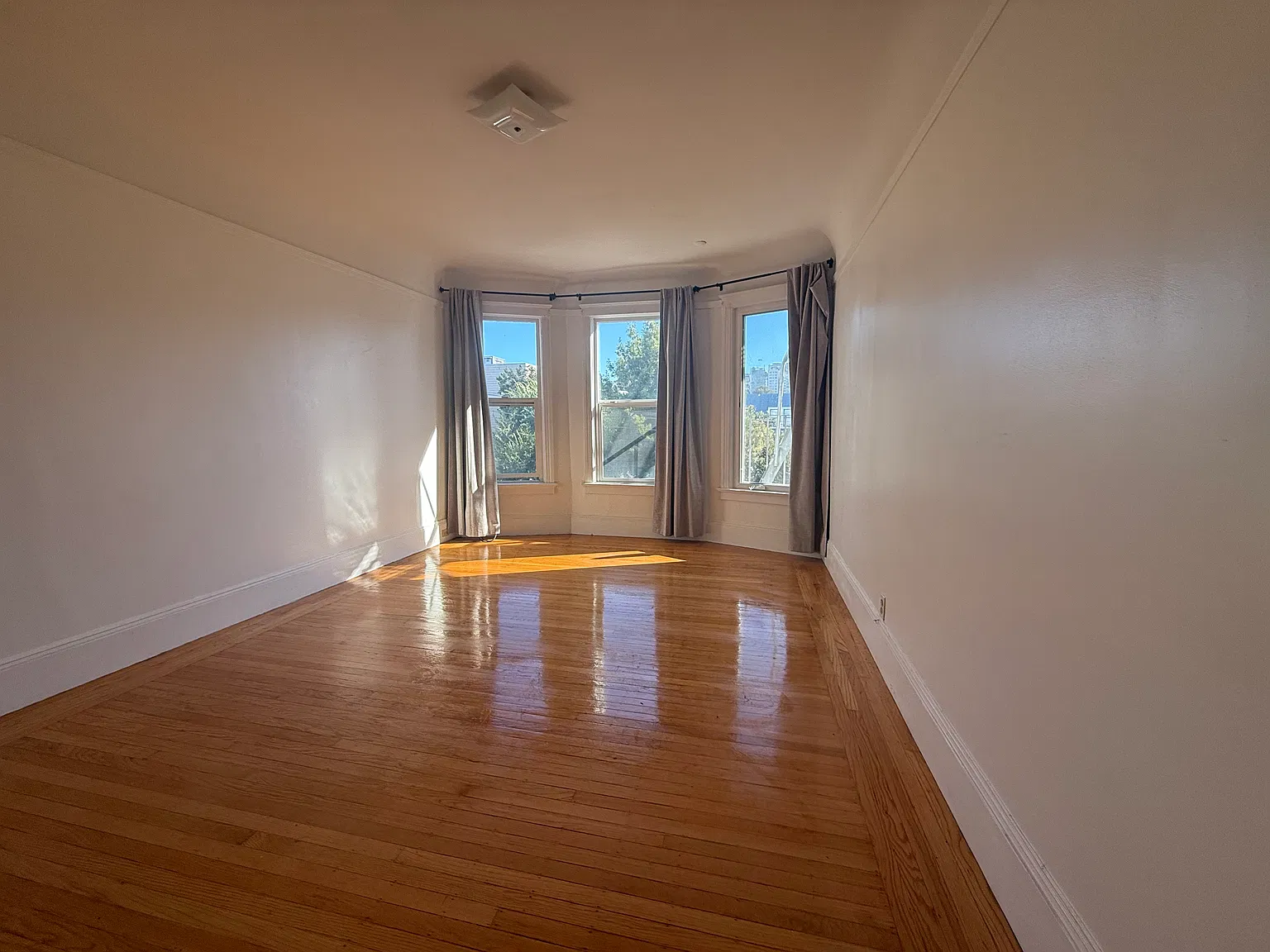 Studio, 485 sqft, $3,500 — Photo 4