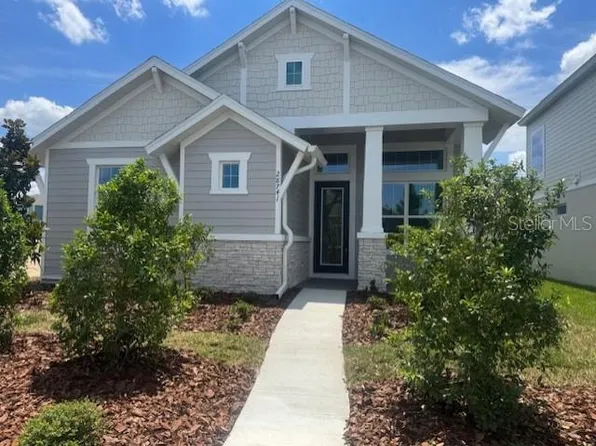 28741 Jujube Rd, Wesley Chapel, FL 33543