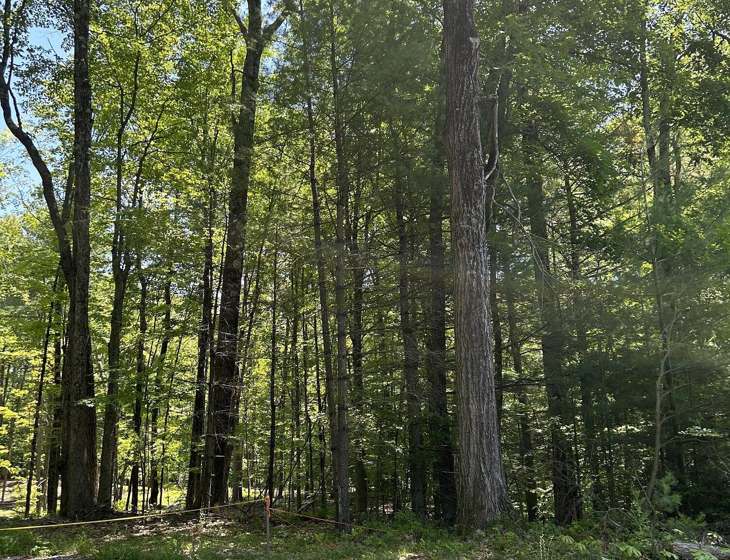 44 Ruggles Road, Saratoga Springs, NY 12866 MLS 202319124 Zillow