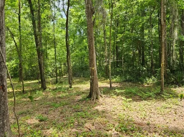 0 NW 83rd Court Rd, Ocala, FL 34482
