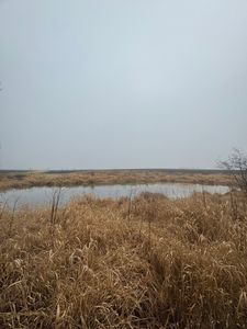 4312 E 7th Rd, Mendota, IL, 61342