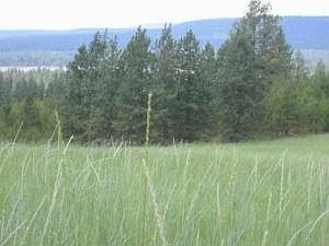 1st image of 231 Tbd Highway 231