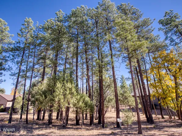 5355 Mountain Gate Cir, Lakeside, AZ 85929