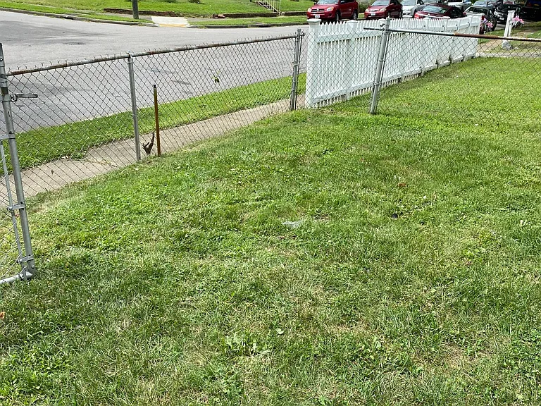 Spacious Yard