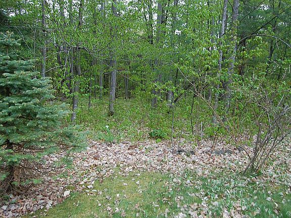 Near Front of Property