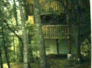 11095 E Lewis Rd, Mount Lemmon, AZ 85619