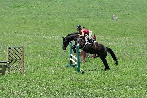 Horse boarding & riding lessons at local stables just minutes away.