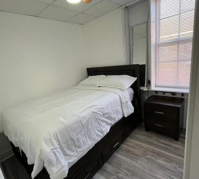 189 Hill St #2 — Photo 12