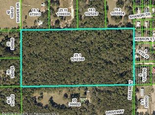 20 Heckman Dr, Brooksville, FL 34601