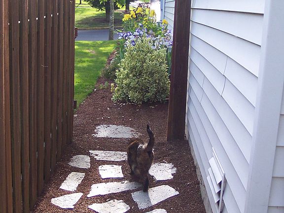 walkway on side of house