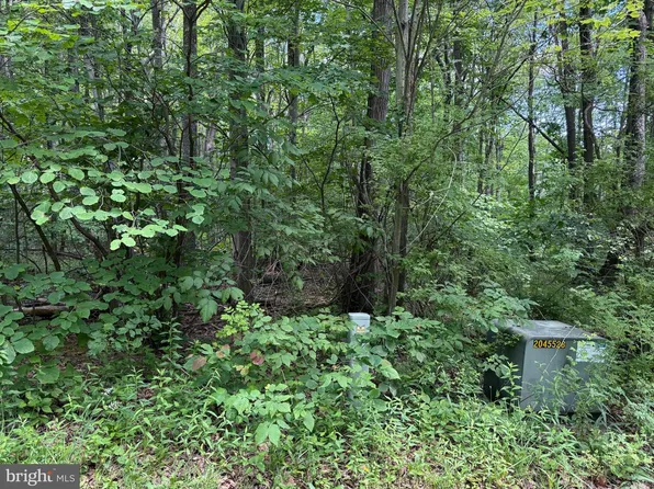 Apex Ct, Swanton, MD 21561