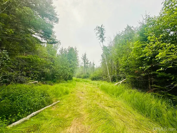 I Rd, Bark River, MI 49807