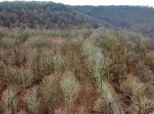 Russellville Rd, Quinwood, WV 25981