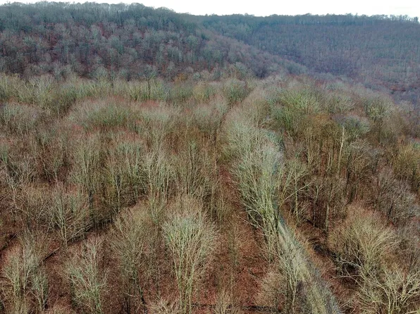 Russellville Rd, Quinwood, WV 25981