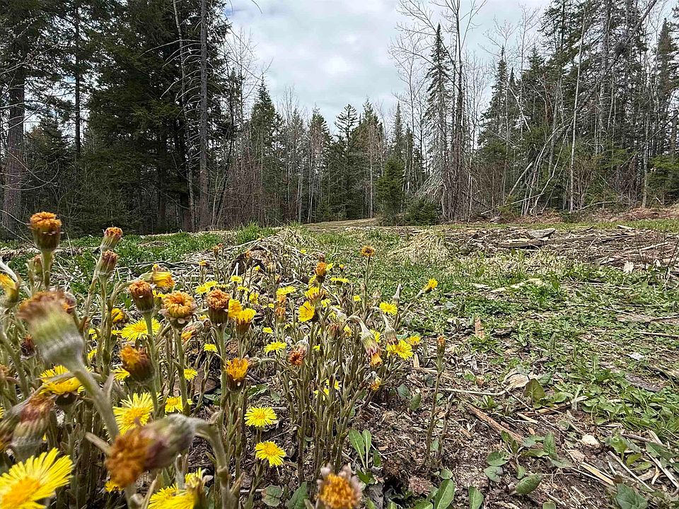 1st image of 227 Dukes Road