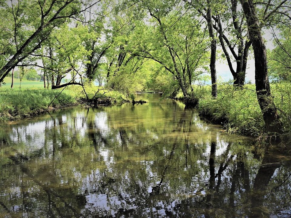 Beautiful creek along the west boundary.