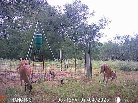 3rd image of Fm 3023 S