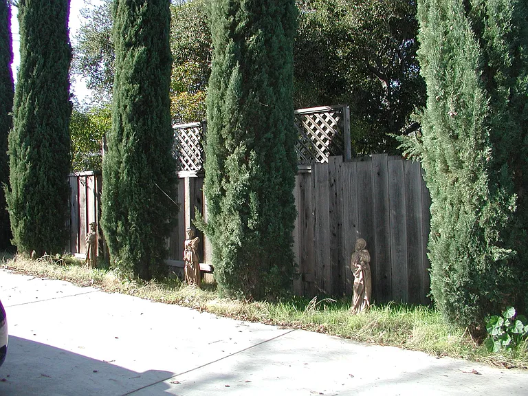 2295 Homestead Rd — Photo 6