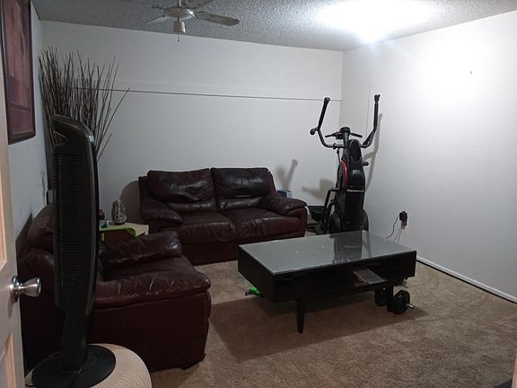 Flex room in the basement
