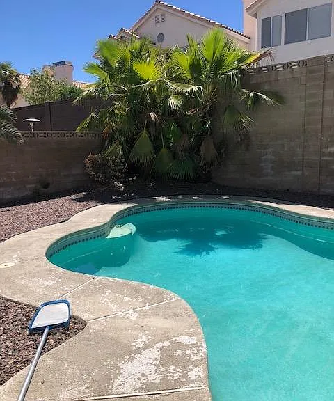 2421 Twin Flower Cir — Photo 9