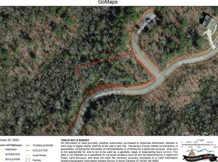 105 Little Battle Creek Ct, Hendersonville, NC 28792