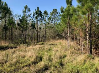 0 Rodeo Acres Dr, Ormond Beach, FL 32174