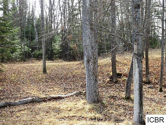 4th image of 43868 County Road 48