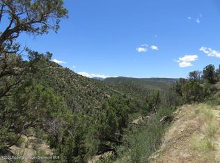 Tbd Alkali Creek, New Castle, CO 81647