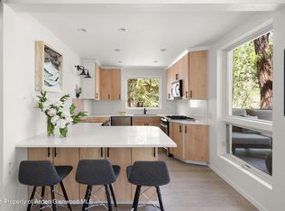 1022 E Hyman Ave #1, Aspen, CO 81611