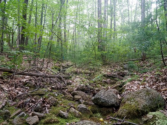 4th image of TBD Moose Rocks Road