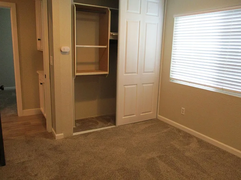 10238 Molino Rd — Photo 15