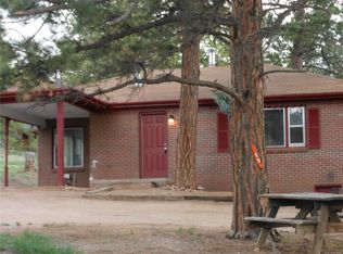 63 Fitzsimmons Rd, Bailey, CO 80421