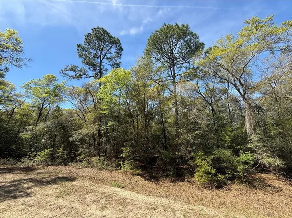 0 Deer Ct, Waverly, GA 31565
